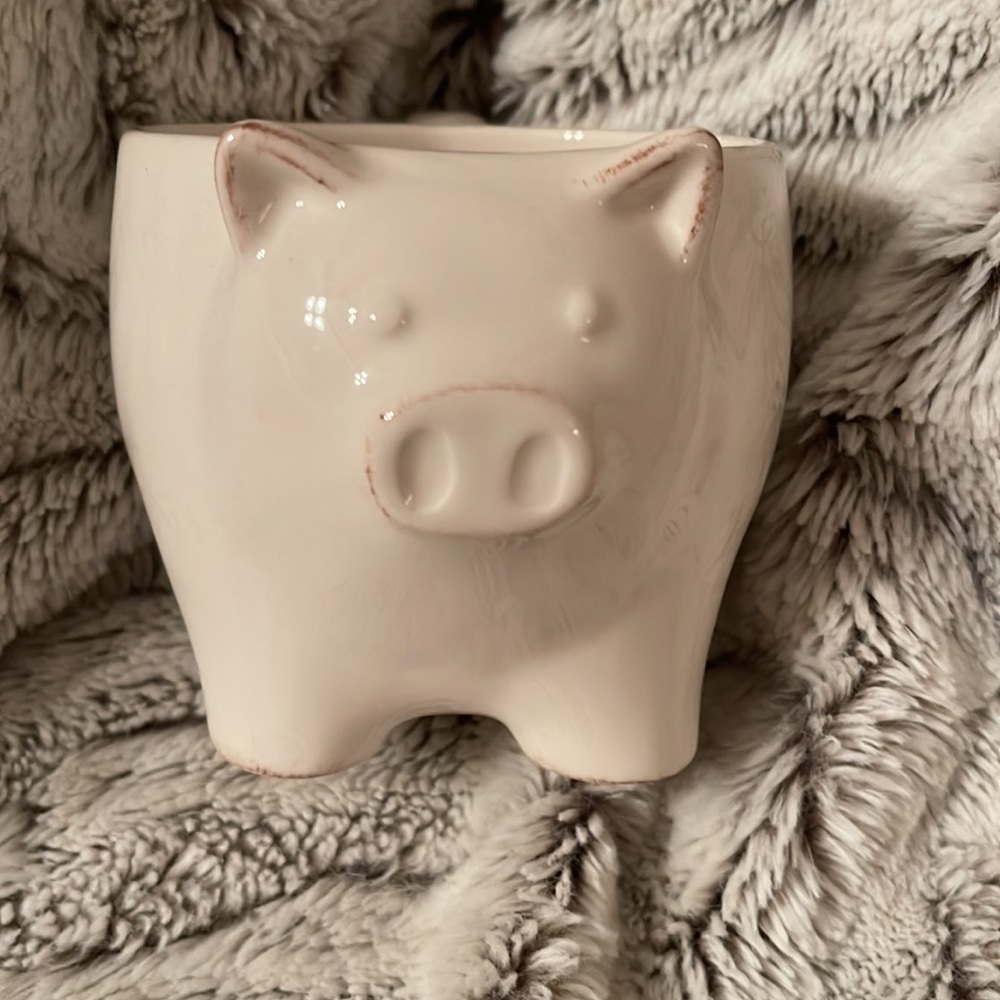Sweet little pig mug! 🐖🐷 Perfect for the Pig fan!